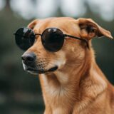 Caramelo Promoções #04