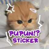 ☺︎︎𝐏𝐔𝐏𝐔𝐍 ˢᵗⁱᶜᵏᵉʳ💜