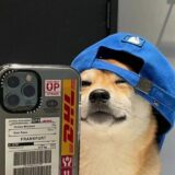 𝖙𝖊𝖗𝖓𝖔 𝖉𝖆 𝖎𝖑𝖍𝖆💸🔥