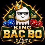 KING BAC BO FREE (SEM GALE)