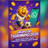 GRUPO DO TIGRINHO 2025🐯💸💰