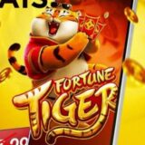 DIVULGACÃO LINKS 32