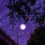 🔙⚛️OS SEM🔛FUTUROS⚛️🔜