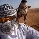 Trampo do Black Dragon🇧🇷- Zero Erro