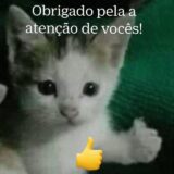 ✵ 𝑨𝒄𝒂𝒅𝒆𝒎𝒊𝒂 𝒂𝒖𝒓𝒐𝒓𝒂 𝒄𝒆𝒍𝒆𝒔𝒕𝒆 𝒆 𝒂𝒃𝒊𝒔𝒎𝒐 𖤍