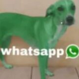 🙈┇𝘼𝘾𝘼𝘿𝙎𝙀𝙓⑀🇧🇷