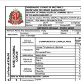 Histórico Escolar De Todos os Estados Brasileiros