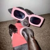 《Os 💯 ɴᴏᴄ̧ᴀ̃ᴏ》