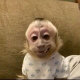 .🙈ູ፝֟  𝐓𝐇𝐄 𝐁𝐄𝐒𝐓 .🙈ູ፝֟