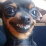 Mãe, tô no WhatsApp