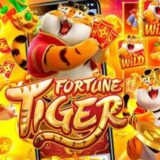 BÔNUS DIÁRIO – Divulgações