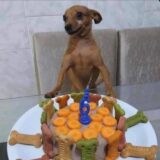 VICTON😻🙌🏼💖👰🏻‍♀Fanbase