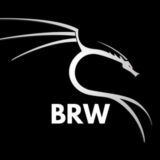 👾△ •◤ BRW TEAM ◥• △👾