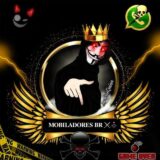 𝐌𝐎𝐁𝐈𝐋𝐀𝐃𝐎𝐑𝐄𝐒 𝐁𝐑 ⚔️🕹️