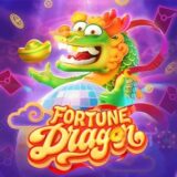 SINAIS FORTUNE DRAGON