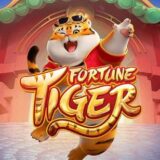 FORTUNE TIGER — WPP 🐯