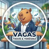 VAGAS TIMON & TERESINA