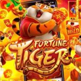 PLATAFORMAS CHINESAS PAGANTES🎰🍀