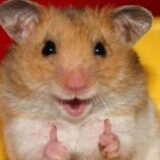 ♥️𝖆𝖒𝖎𝖟𝖆𝖉𝖊♥️