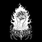 💯 °   𝙽𝚎𝚛𝚍𝚜 𝚏𝚞𝚍𝚒𝚍𝚘𝚜 ☝️ </3 🔥   .ᐟ