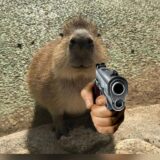 Ninguém fala de reality aqui