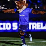 Palestra Azul🦊💙