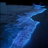 ☄𝑴𝒊𝒅𝒏𝒊𝒈𝒉𝒕 𝒔𝒆𝒕☾