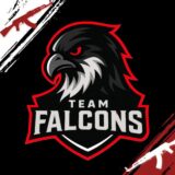 THE FALCONS
