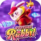 FORTUNE RABBIT 🐰