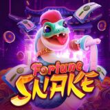 SINAIS FORTUNE SNAKE
