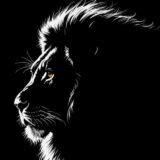 𝑹𝑬𝑺𝑬𝑵𝑯𝑨 𝑨𝑪𝑪𝑬𝑺𝑺 👑