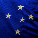 Vamos Meu Cruzeiro 🦊💙