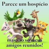 🏥Hospício