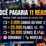 Assineconosco