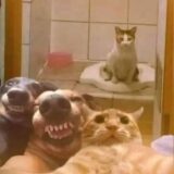 A Irmandade ☝🏾🔥