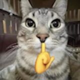 ミ 𝘍𝘜𝘎𝘐𝘛𝘐𝘝𝘖𝘚 𝘋𝘖 𝘊𝘈𝘗𝘚 彡