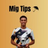 Mig Tips ✅