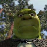 𝆺𝅥⃝👑𝑹𝑬𝑰𝑺 𝑫𝑨 𝒁𝑶𝑨𝑪̧𝑨̃𝑶𝆺𝅥⃝👑