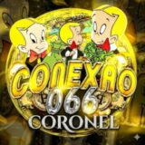 Conexão Cúpula