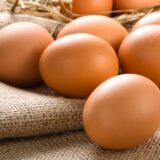 Como faturar com ovos