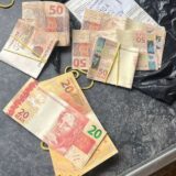 lobo mal das ccs 🔝