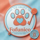 Fofunico VIP 01