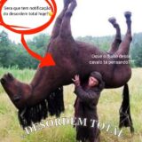 ⤿𝐃𝐄𝐒𝐎𝐑𝐃𝐄𝐌 𝐓𝐎𝐓𝐀𝐋