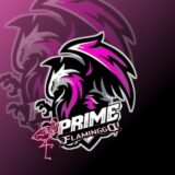 flamengo xits e vendas de contas