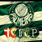 Palmeiras meu único amor💚💚💚