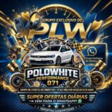 PROMO AUTO #PLW071 *10