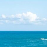 Inimigos eternos😜🔥