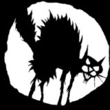 BLOCO LIBERTÁRIO GATO NEGRO
