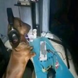 🌬️𝑺𝑶 𝑹𝑬𝑮𝑹𝑬𝑺𝑺𝑶🩸