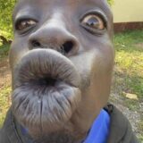 Planeta dos Sem Filtro